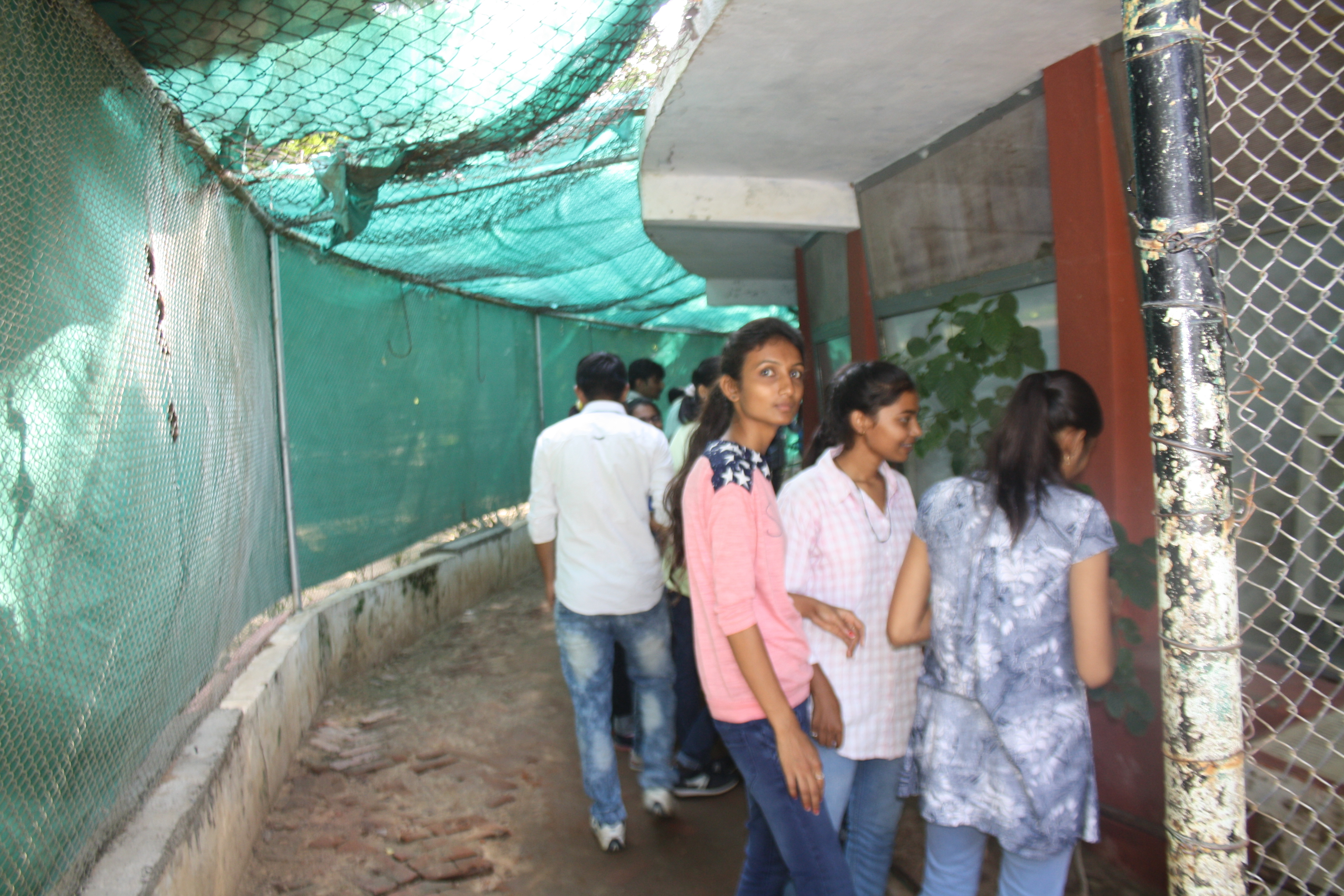 Picnic and Tours — image 7